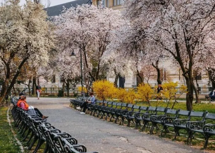 Апартаменты Situat Langa Palatul Parlamentului